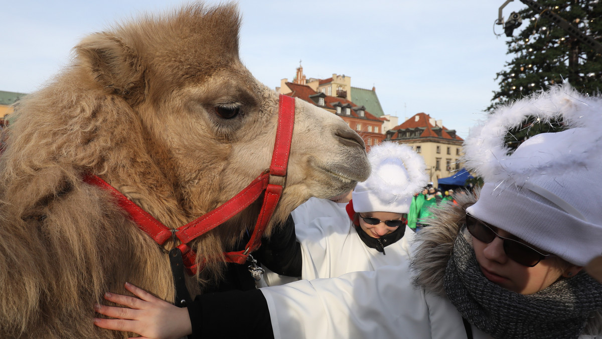 Pod hasłem "Bóg jest dla wszystkich" wyruszył Traktem Królewskim - z Placu Zamkowego na pl. Piłsudskiego - dziś w południe, 10. Orszak Trzech Króli. Podobne przejdą ulicami 644 miejscowości w kraju i 16 poza granicami Polski.