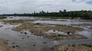 Dramatycznie niski poziom w rzekach. Wisła miejscami ma 13 centymetrów