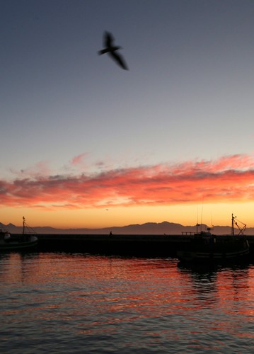 Początek zimy w Afryce