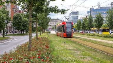 Katowice stawiają na zielone inwestycje!