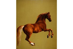 Whistlejacket, George Stubbs.