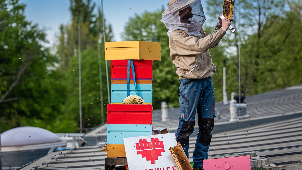 Katowice, bezpieczeństwo, ograniczanie zabójstw i handlu ludźmi   