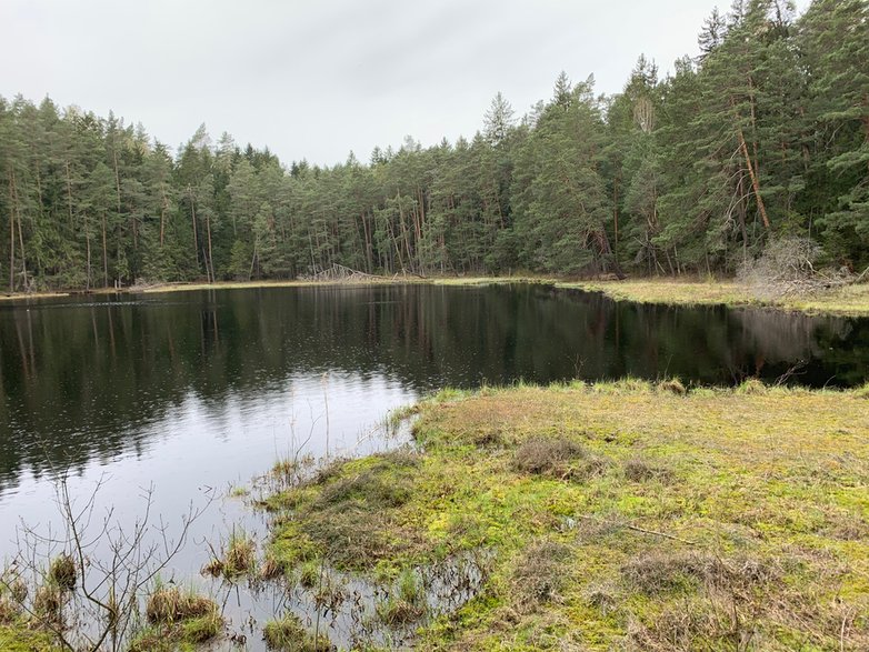 Wigierski Park Narodowy fot. Maciej Fijak