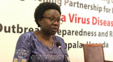 Heath minister Aceng announces upsurge in malaria cases