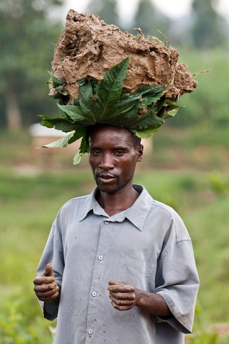 Pigmeje z dżungli w Afryce