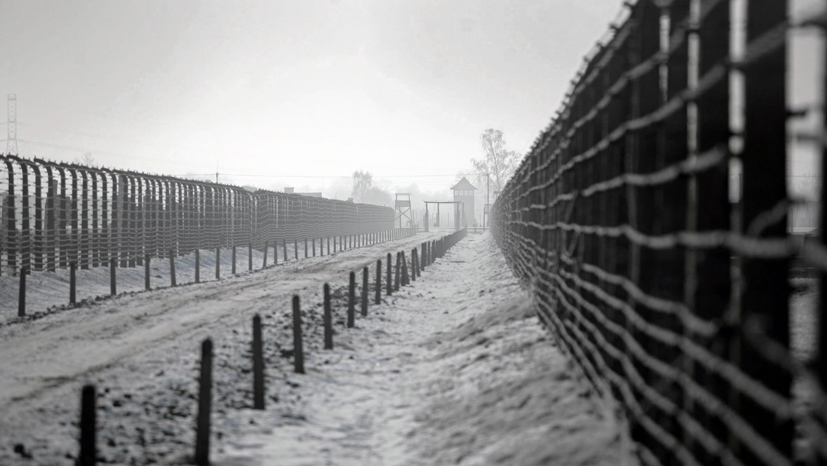 Plenerową wystawę "Pamiętamy… Najmłodsze ofiary KL Auschwitz" można oglądać na jednym z głównych placów w Tychach. Ekspozycja gromadzi kilkadziesiąt prac poświęconych martyrologii więźniów obozu. Ich autorami są dzieci i młodzież z kilku europejskich krajów.