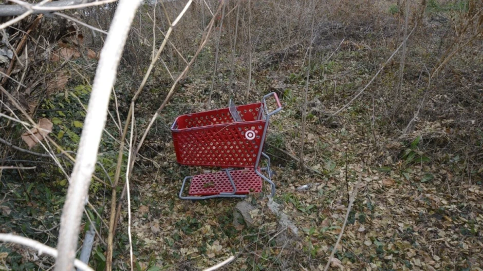 Kolica za kupovinu blizu mesta ubistva u decembru 