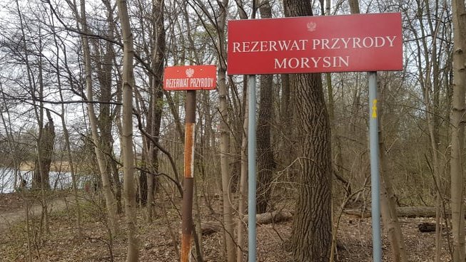 Według nowego projektu gazociąg miałby przebiegać przez rezerwat Morysin