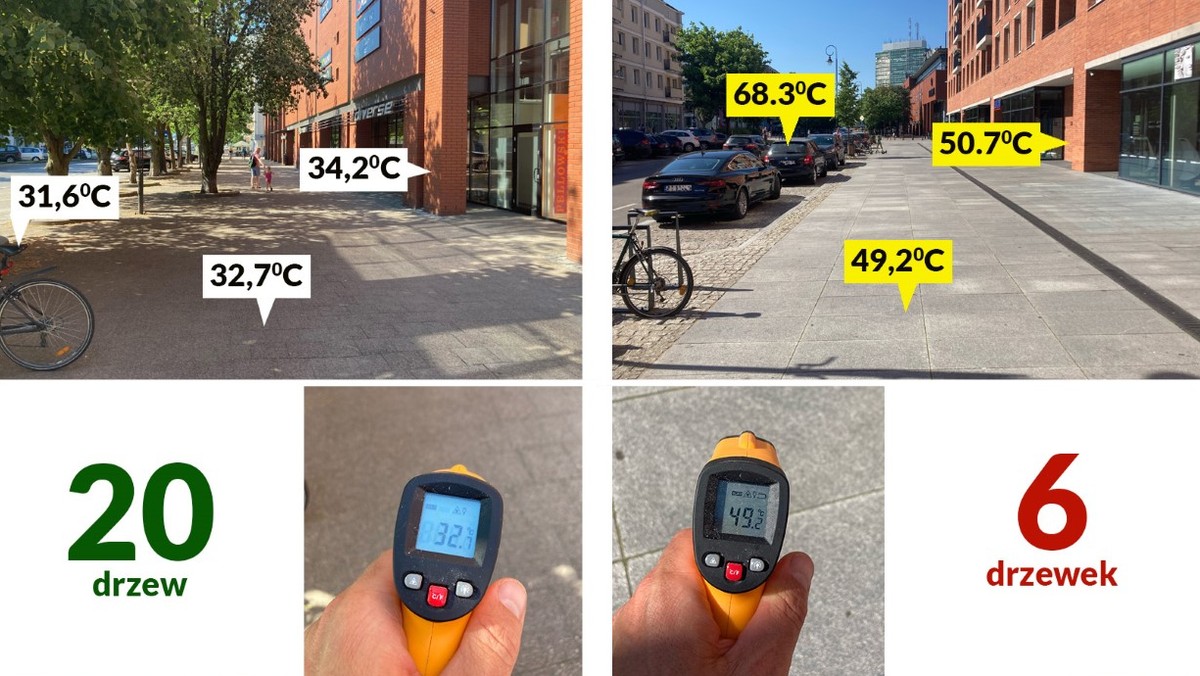 Zielona Fala Trójmiasto, pomiar temperatury