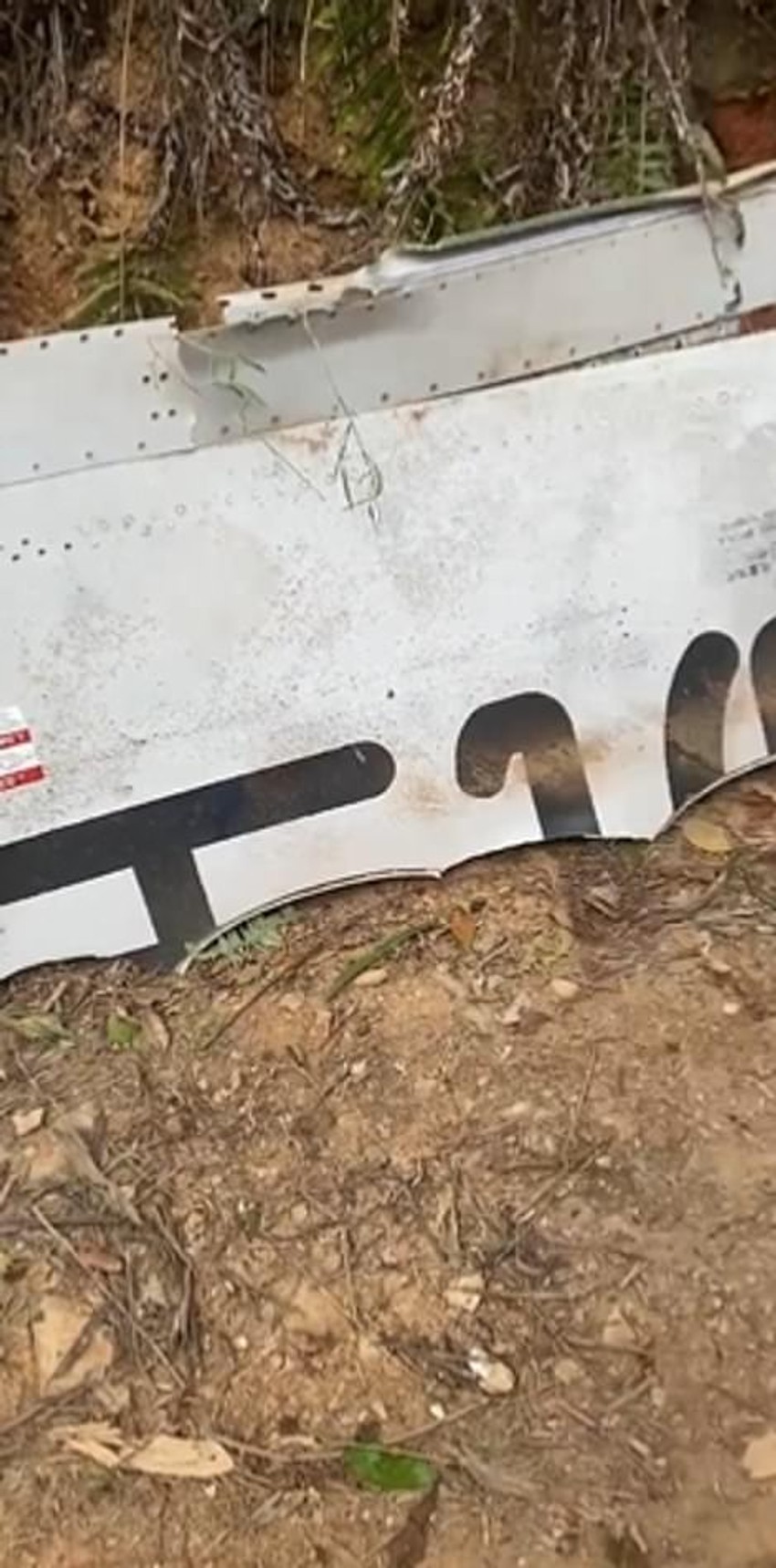 Deo aviona boing 737