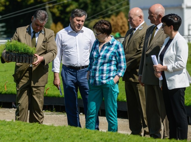 Ewa Kopacz; Janusz Piechociński