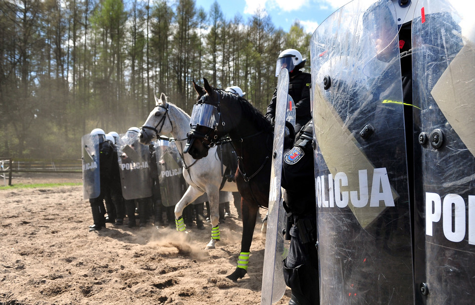 SZCZECIN KONIE W POLICJI TESTY (sprawdzian koni)