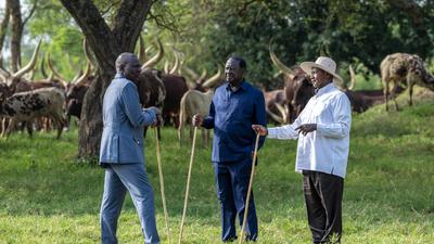 President Yoweri Museveni recently hosted Raila Odinga and President William Ruto