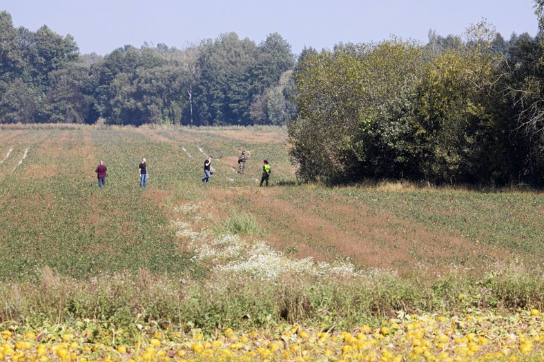 10.09.2025 Krzywowierzba , powiat Parczewski . Miejsce, w ktorym spadl jeden z zestrzelonych rosyjskich dronow bojowych, ktore naruszyly przestrzen powietrzna Polski . nz Poszukiwania fragmentow maszyny . Fot. Jakub Orzechowski / Agencja Wyborcza.pl