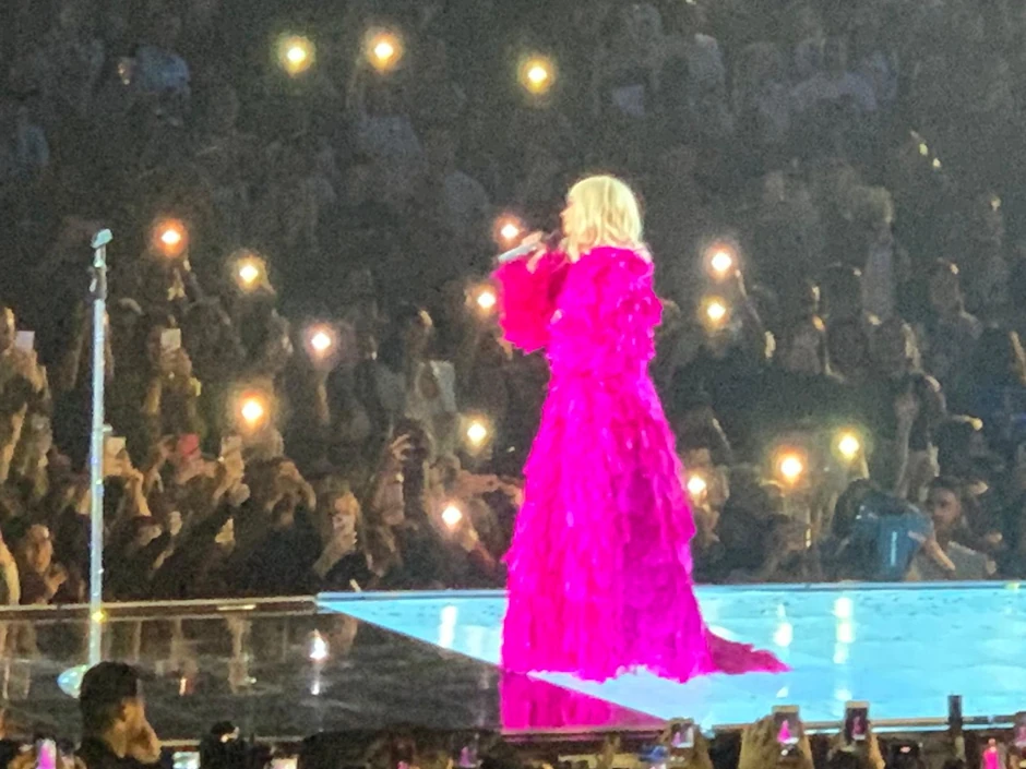 Nataša Bekvalac u Areni u pink haljini od perja