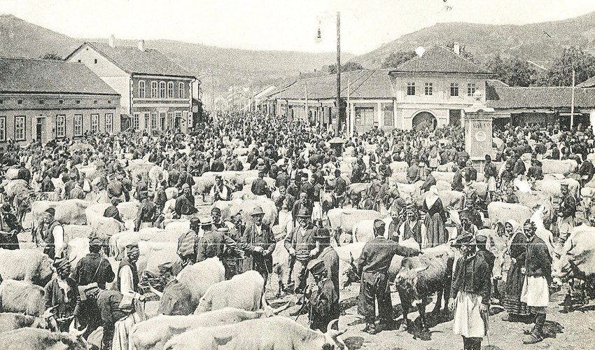 Stočna pijaca u Užicu početkom prošlog veka

