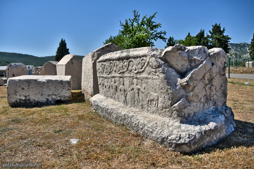 Stecci / nekropolia Radimlja, Stolac