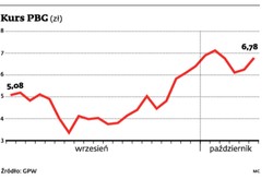 Prezes PBG liczy na konsolidację budowlaną pod skrzydłami państwa