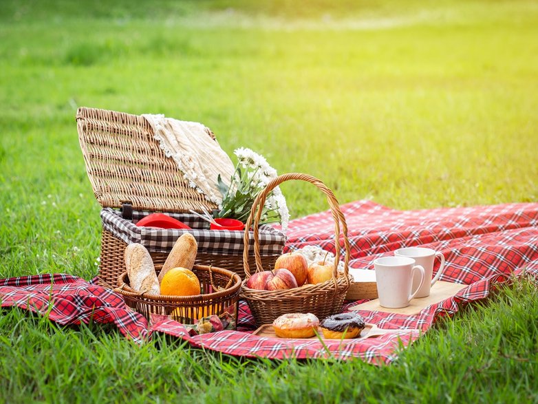 Piknik w ogrodzie / shutterstock