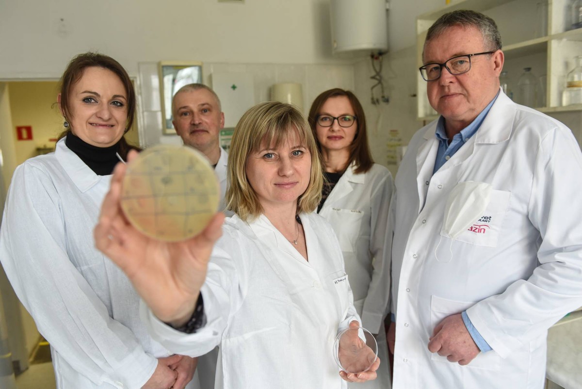 od lewej: dr Anna Nowaczek, dr hab Andrzej Puchalski prof uczelniany, prof. dr hab Renata Urban-Chmiel - kierownik zakładu, dr hab Renata Dec, prof. dr hab. Cezary J. Kowalski