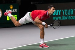 Nowy gatunek chrząszcza nazwany na cześć Novaka Djokovicia