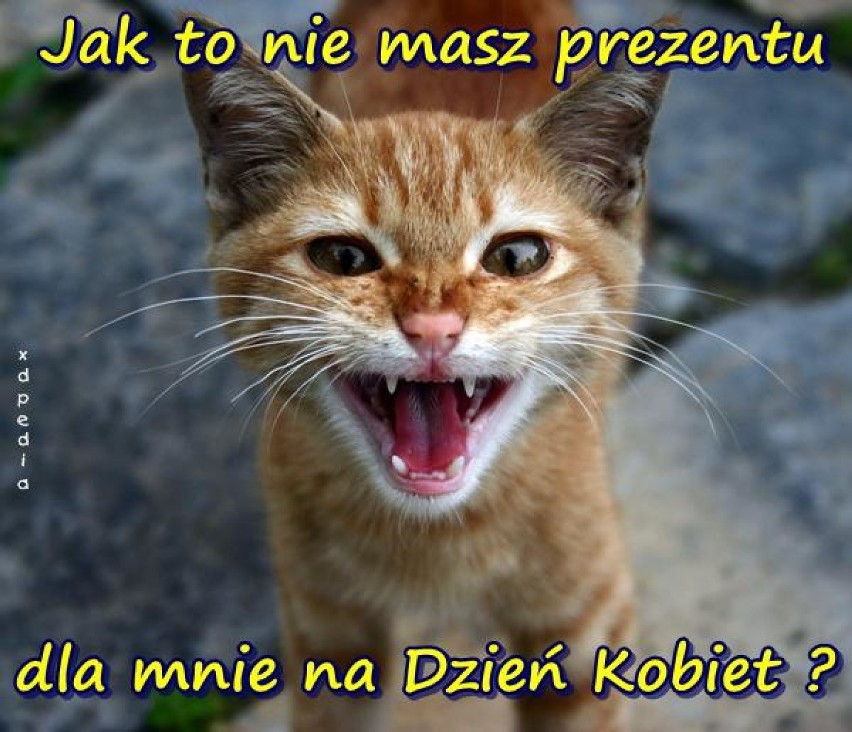 Dzień Kobiet