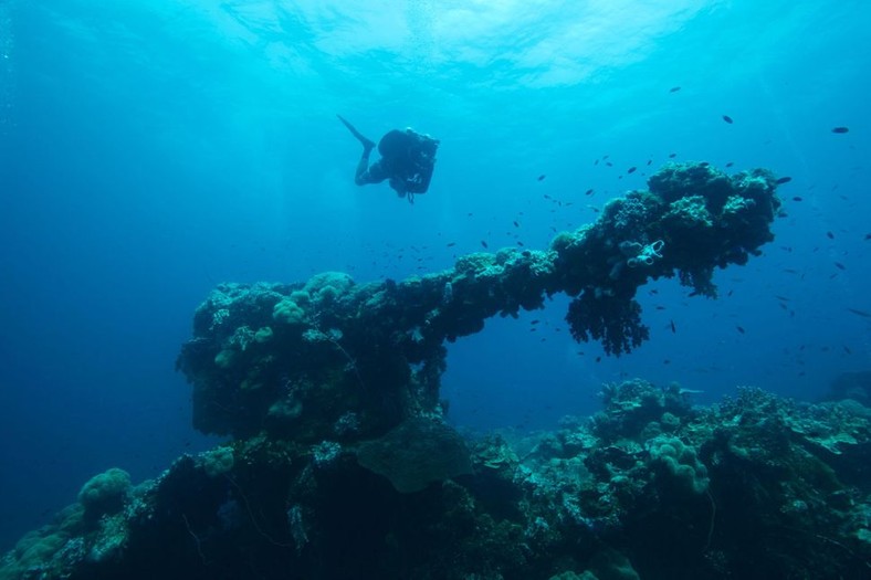 Wrak Fujikawa Maru na Pacyfiku