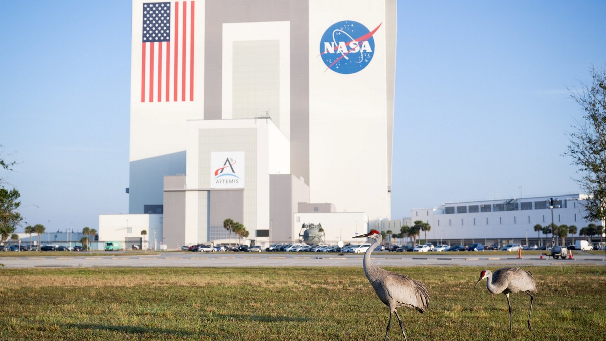 30 milliós kártérítést követel a NASA-tól egy család, amelynek a házába űrszemét csapódott