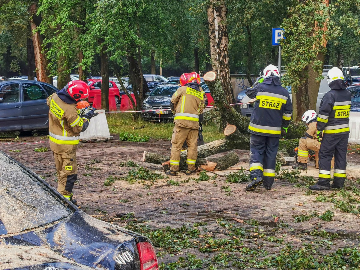 IMGW ostrzega przed żarem i burzami. Sprawdź, co należy się pracownikowi