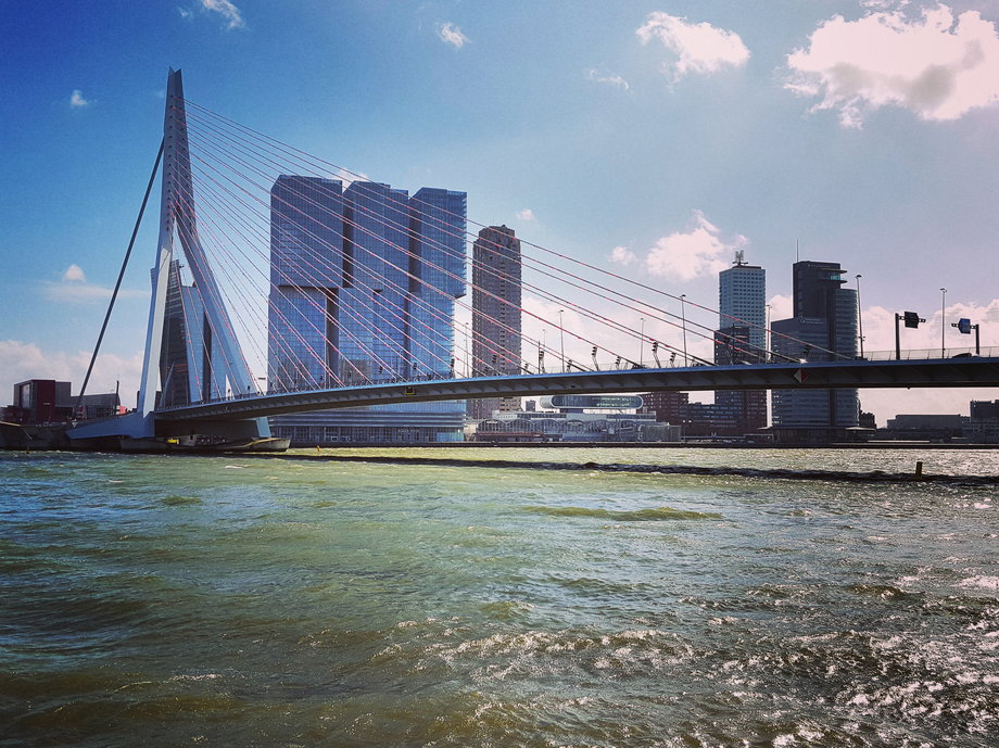 Rotterdam. Most Erazma ma ponad 800 metrów długości, a Rotterdam jest największym portem w Europie. 