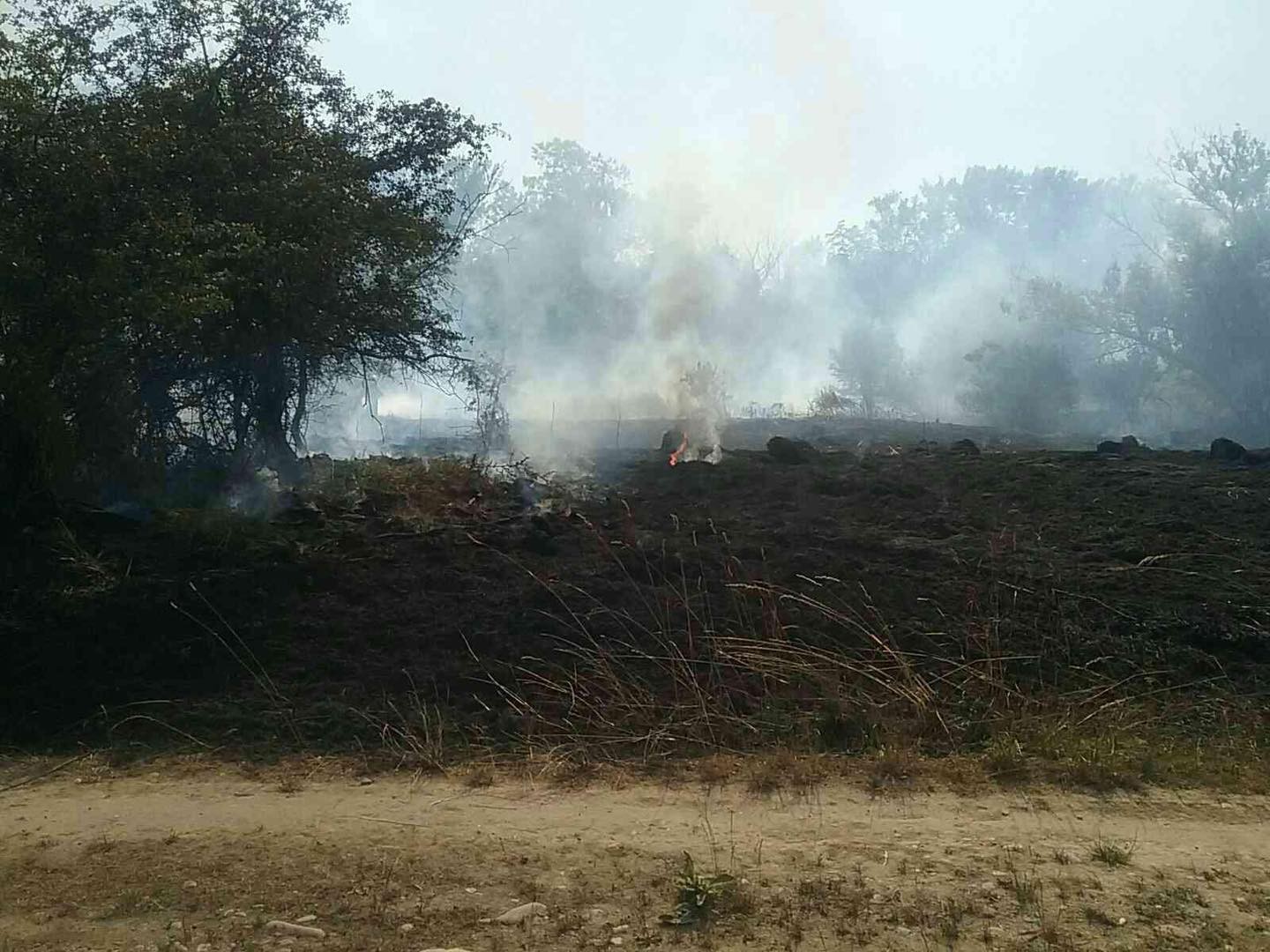 Pri požiari suchého porastu neďaleko Piešťan sa vážne zranila jedna osoba.