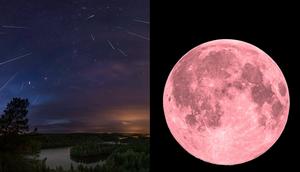 The Lyrid meteor shower will coincide with April's pink supermoon tonight.Mika Wist/500px/dzika_mrowka/Getty Images