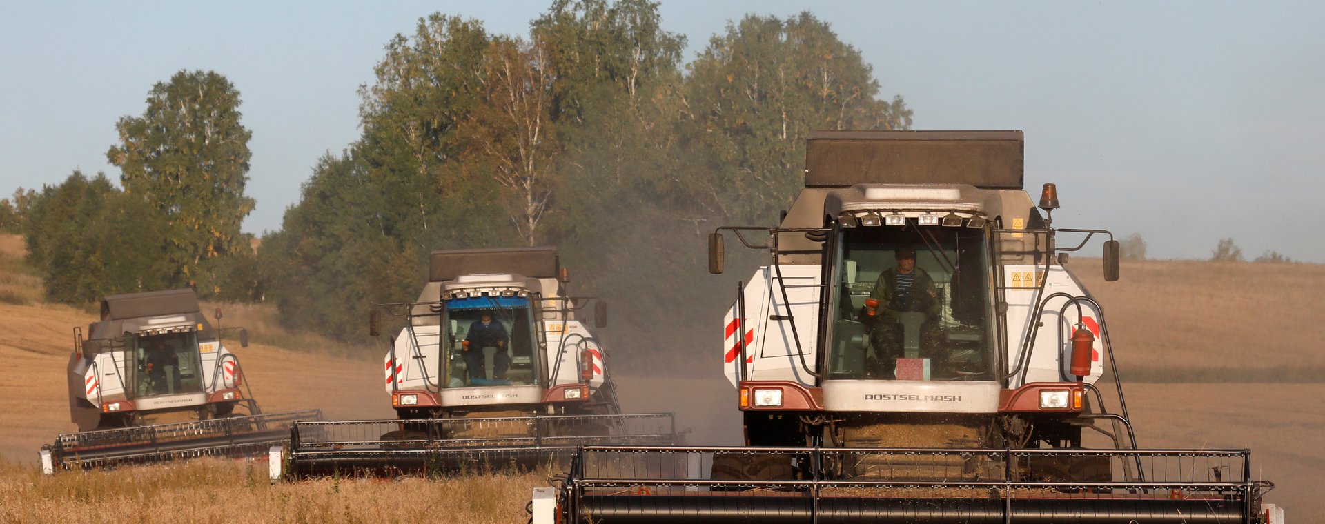 Na Syberii w Rosji znajdują się ogromne nieużytki, które mogą zostać przekształcone w żyzne pola uprawne.