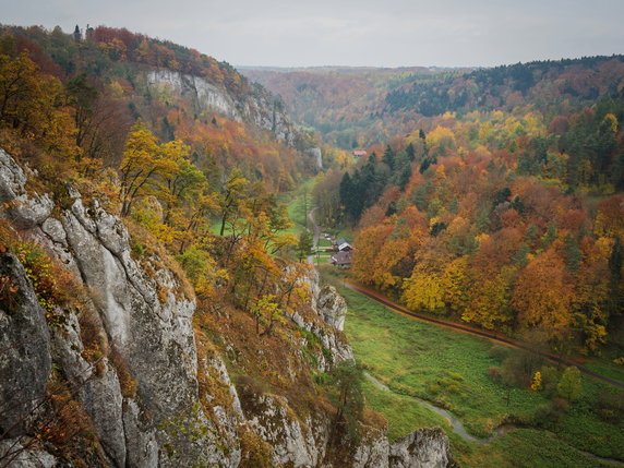 Długi weekend majowy w Polsce: Ojcowski Park Narodowy (woj. małopolskie)