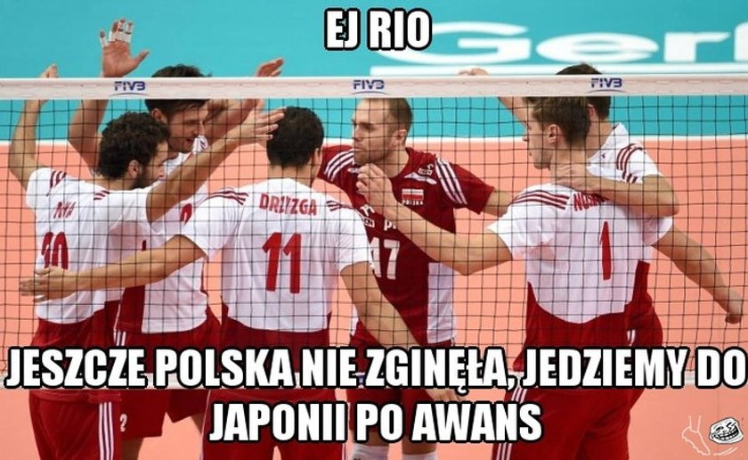 Memy po triumfie w meczu siatkarzy Niemcy - Polska 2:3