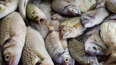 Fish import to Nigeria drops by 5.9 percent from ₦3.4 billion to ₦3.2 billion in 1 year