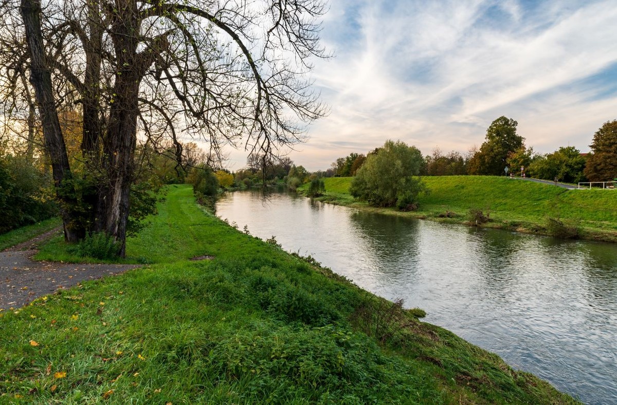 Nature credits, czyli rozliczeniowe jednostki przyrodnicze mają działać na zasadach rynkowych. Pomysł na finansowanie ochrony przyrody Komisja Europejska chce przedstawić w nadchodzącym tygodniu.