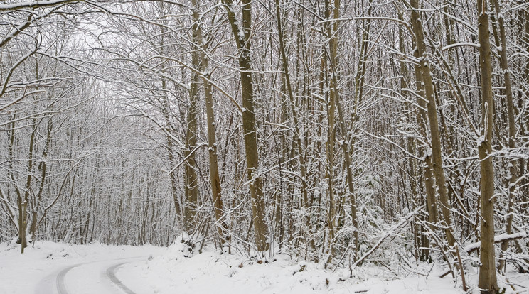 A hegyekben már hófehérbe borulhat a táj / Illusztráció: Northfoto