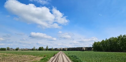 Prognoza na weekend od IMGW. Pogoda dla wszystkich regionów