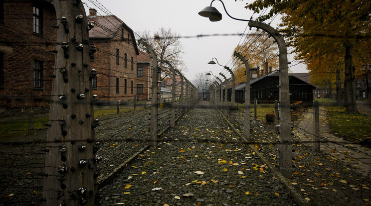 Börtönbe kerülhet, aki lengyelnek nevezi a haláltáborokat/Fotó:Northfoto