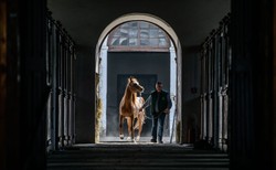 Shirley Watts o niepowodzeniu polskiej aukcji koni: Jej szefowie to porażka