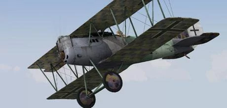 Screen z gry "Rise of Flight"