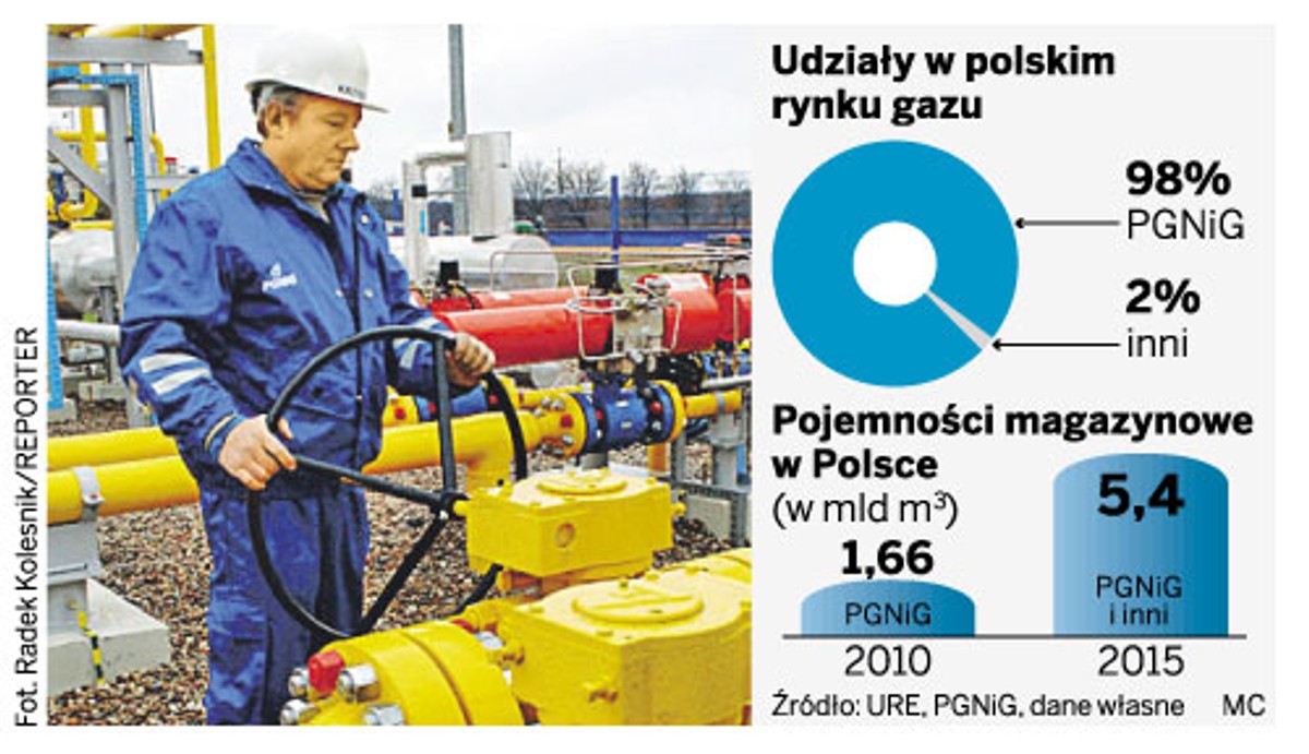 Udział w polskim rynku gazu