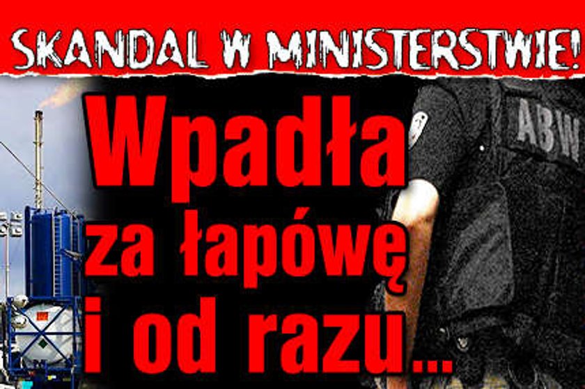 Skandal w ministerstwie! Wpadła za łapówę i od razu... dostała inną pracę w resorcie