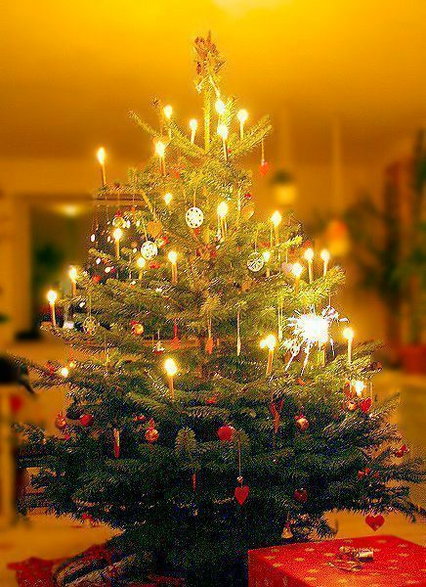 Choinka bożonarodzeniowa (fot. Malene Thyssen na licencji Creative Commons Uznanie autorstwa – Na tych samych warunkach 3.0)