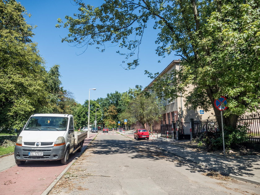 Drzewo runęło przed Szkołą Podstawową numer 35 na ulicy Tybury w Łodzi 