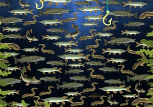 Mozgalica