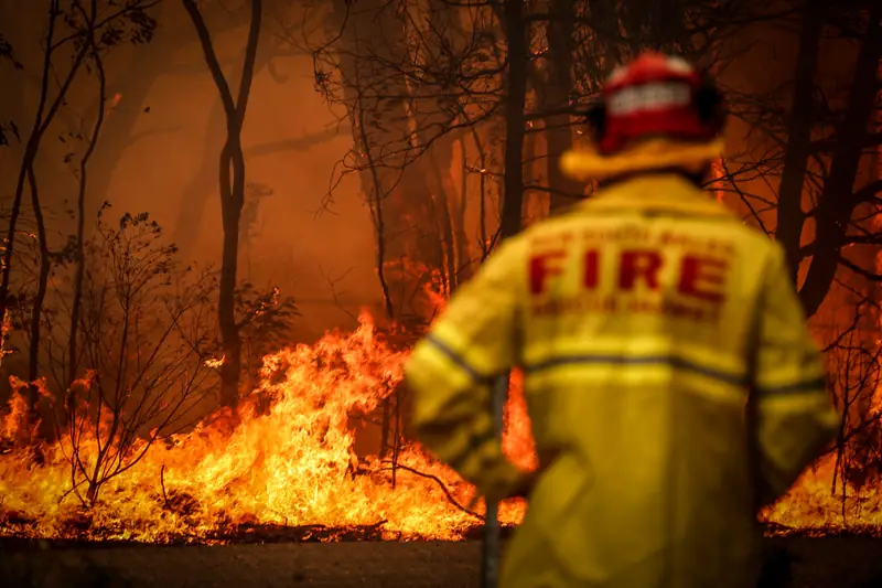 fot. David Gray/Getty Images