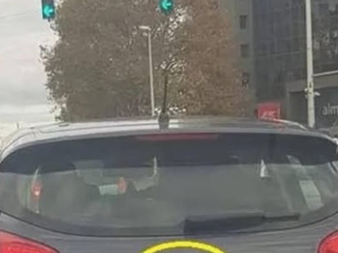 Balkanac ispred marke auta dodao 2 slova i napravio foru života, svi rone suze od smeha