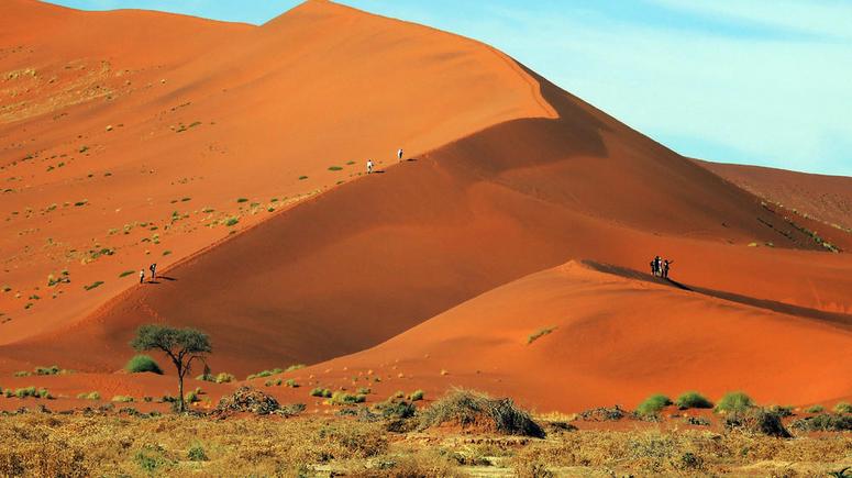 Surfing the world's highest sand dunes straight into the ocean in Namibia  should be on your 2019 bucket list | Pulse Nigeria